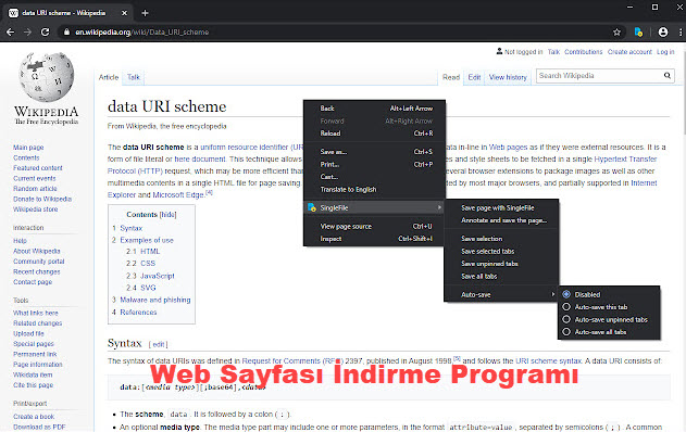 Web Sayfasi Indirme Programi 163