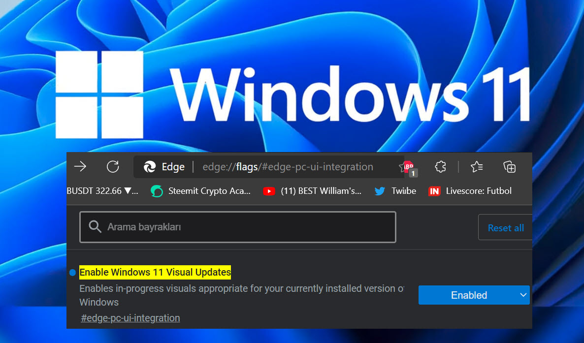 Edge Icin Windows 11 Gorunumuyle Uyumluluk 3