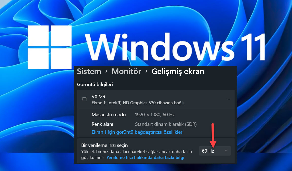 Windows 11 Ddr 5