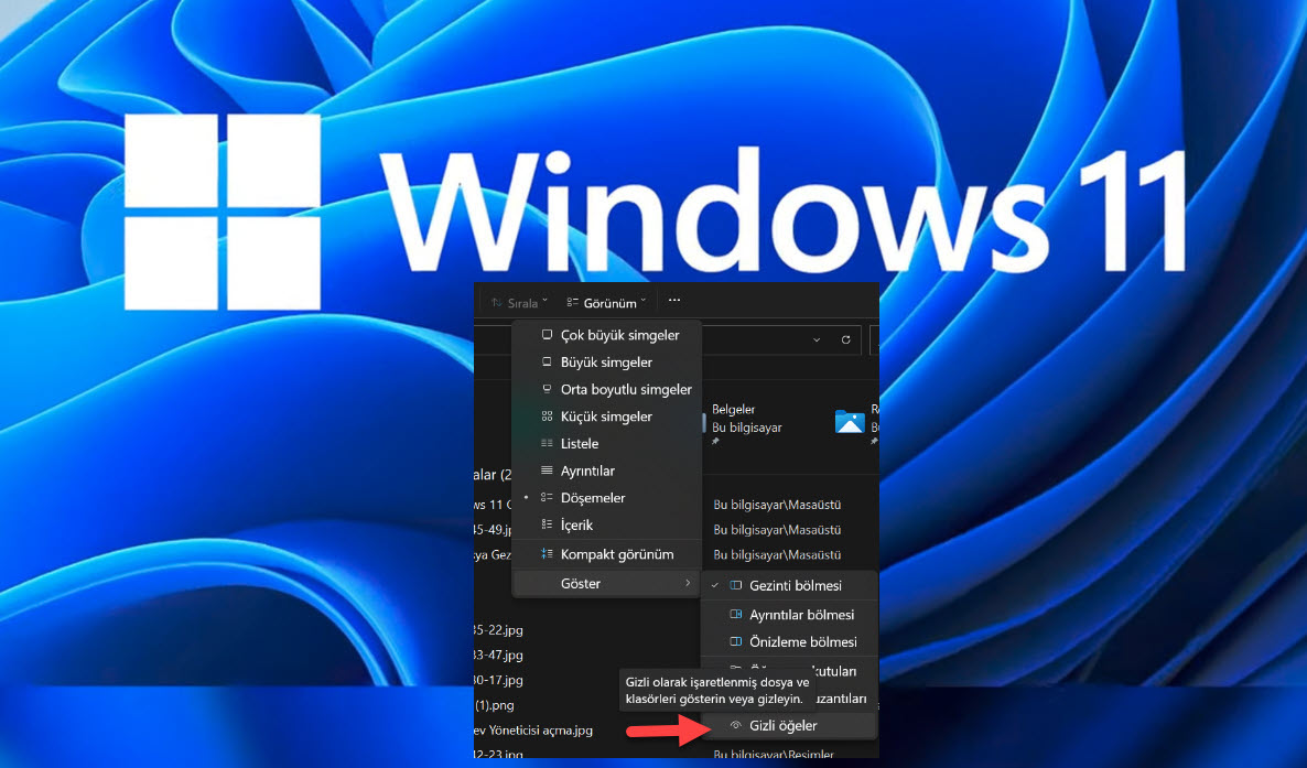 Windows 11 Dosya Gezgini Gizli Dosyalari Gorme 5