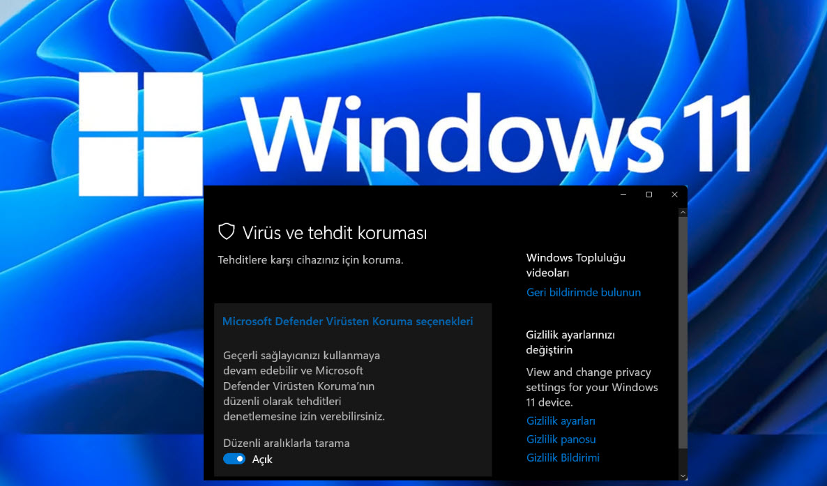 Windows 11 Virus Tarama 1 13