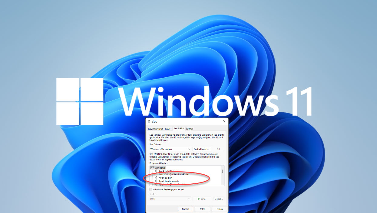 Windows 11 Ekran Alintisi Araci Kullanimi 1 5