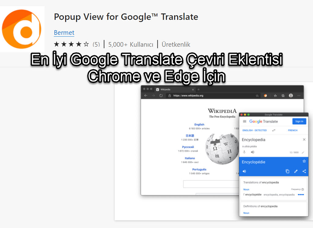 En Iyi Google Translate Ceviri Eklentisi Chrome Ve Edge Icin 33