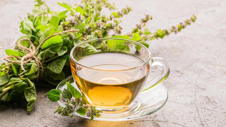 Melisa çayı neye iyi gelir, nasıl yapılır? Melisa çayının yan etkisi var  mı? İşte melisa çayının faydaları