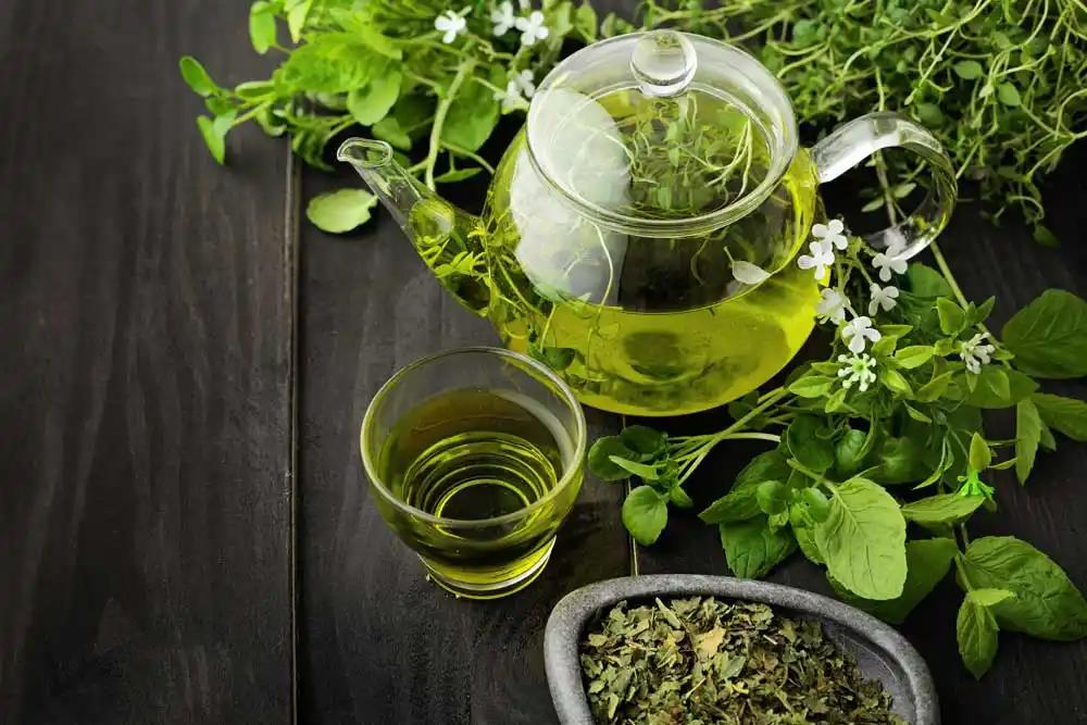 YEŞİL ÇAY NASIL YAPILIR? Yeşil çay neye iyi gelir? Yeşil çayın faydaları  neler? - Fotomaç