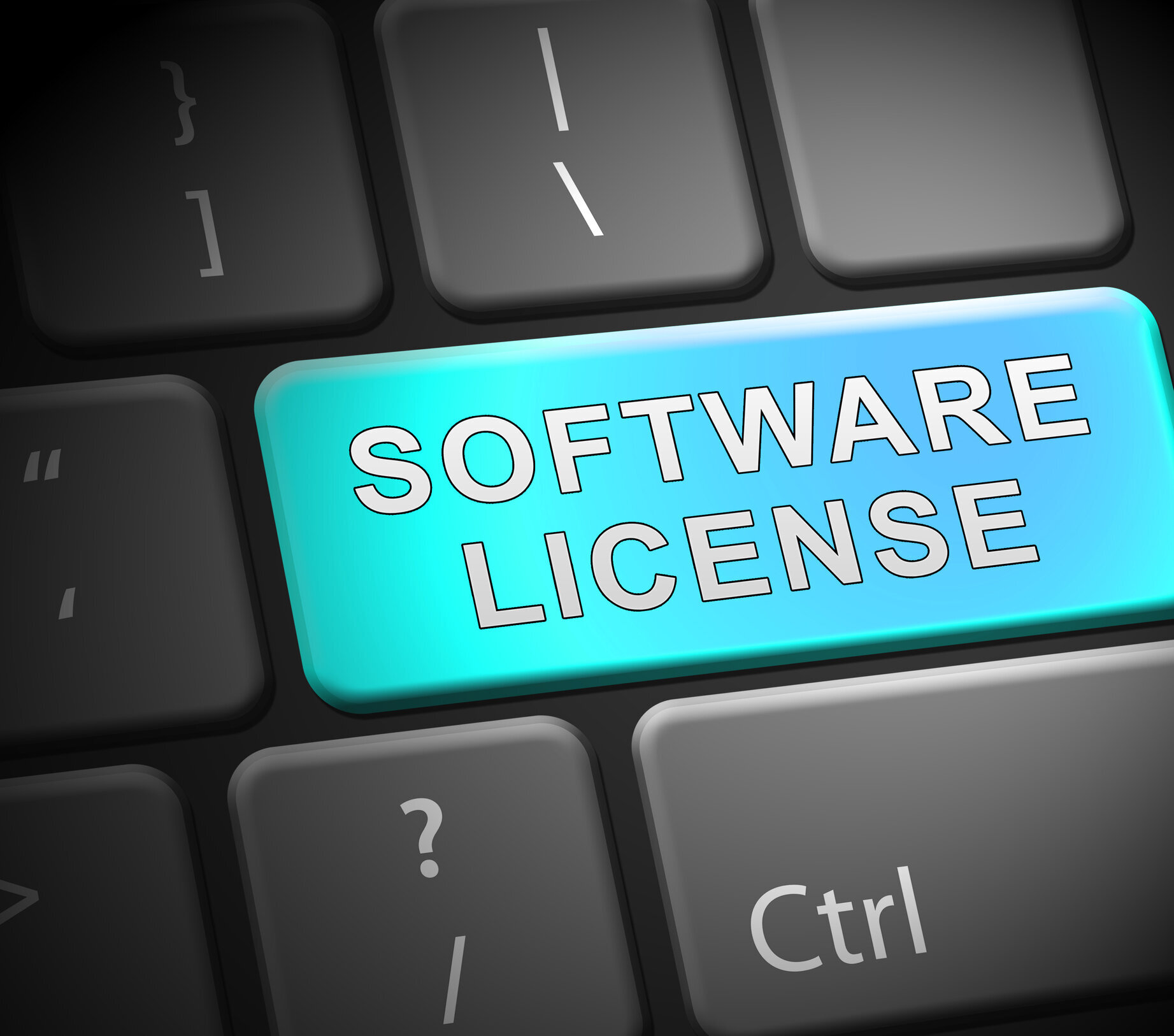 Software License Agreement Essentials | Klemchuk LLP