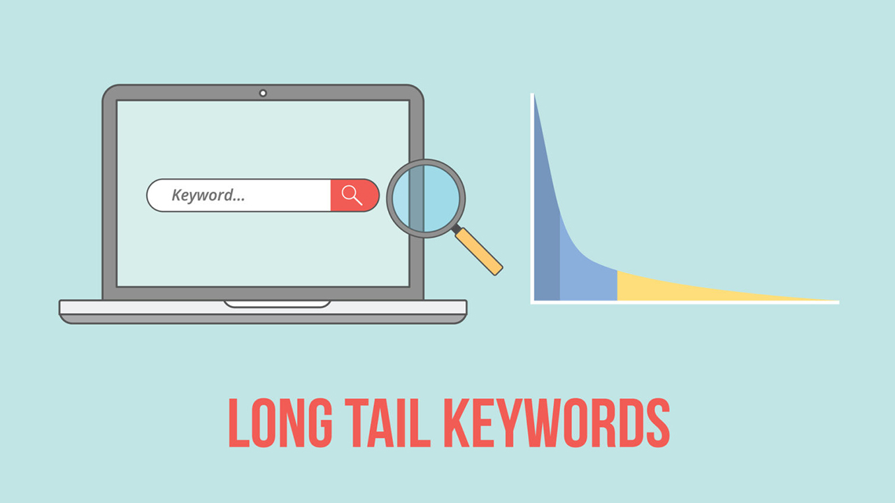 Long Tail Keywords Nedir? | Timsah Ajans