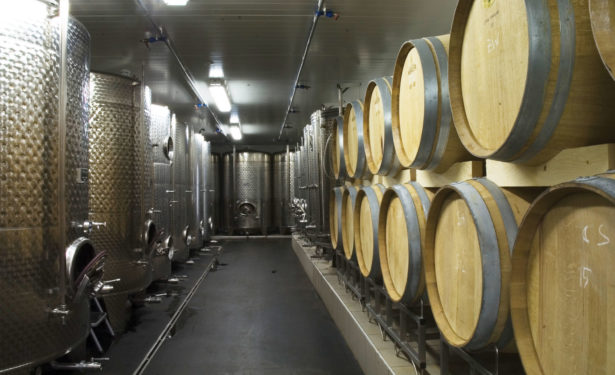 Erich Sattler Şarap Üretim Merkezi - Arkitera