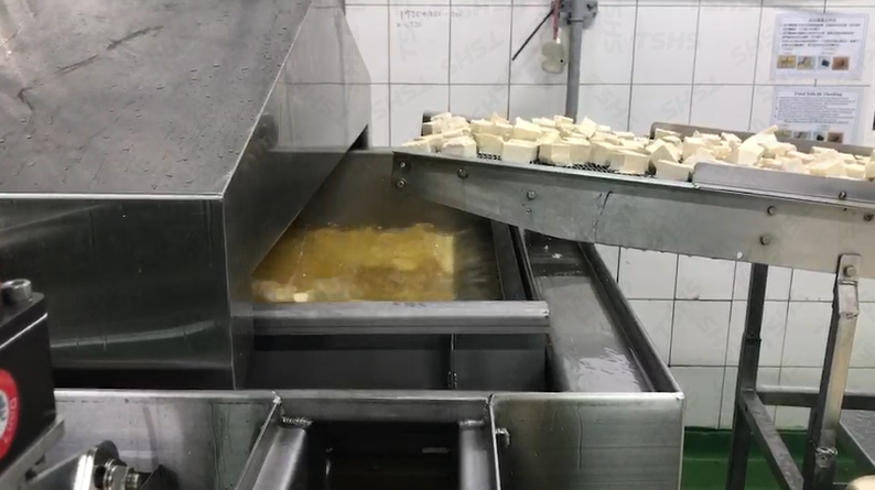 Kızarmış Tofu Üretim Hattı (Tayvan) | İşleme Makinaları & Anahtar Teslim  Proje Temini | TSHS