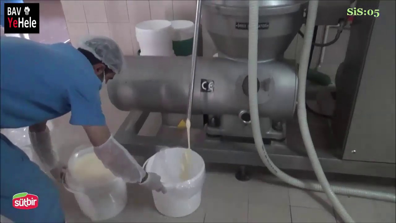 Çiğ Sütten Çok Amaçlı Süt Kreması Nasıl Elde Edilir / Süt İşleme Serisi /  Karsim - YouTube