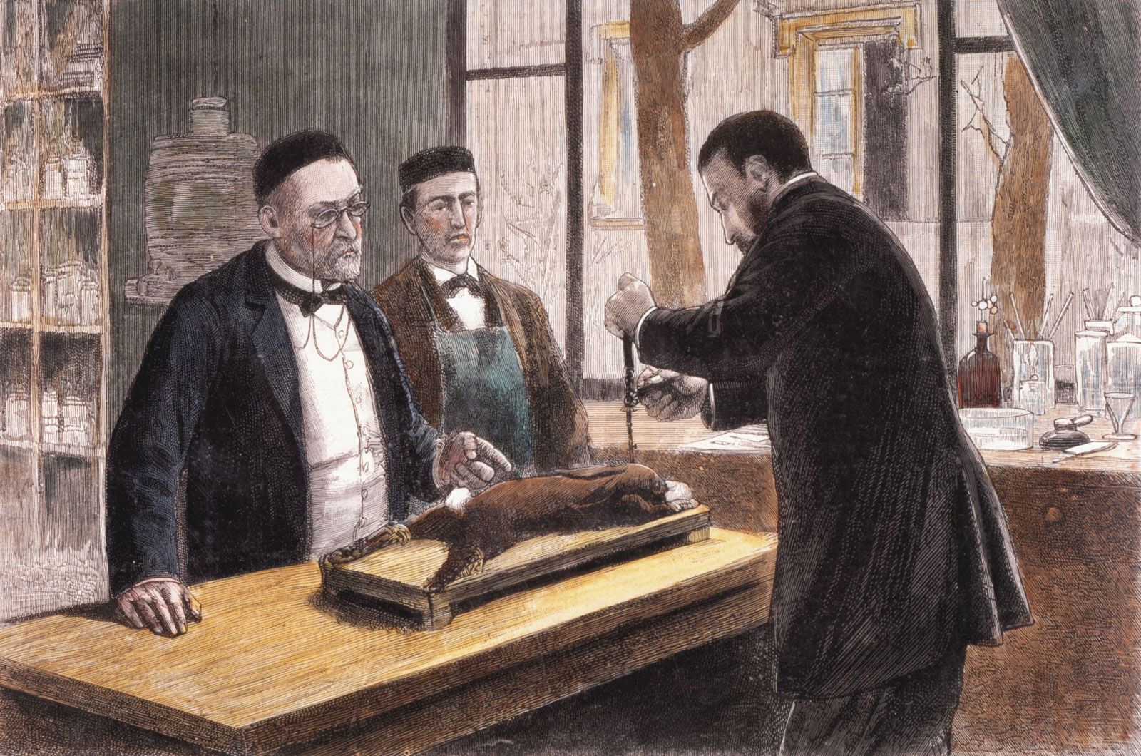 Louis Pasteur - Vaccine development | Britannica