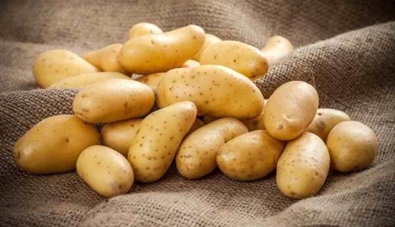 Patates - Sebze Haberleri
