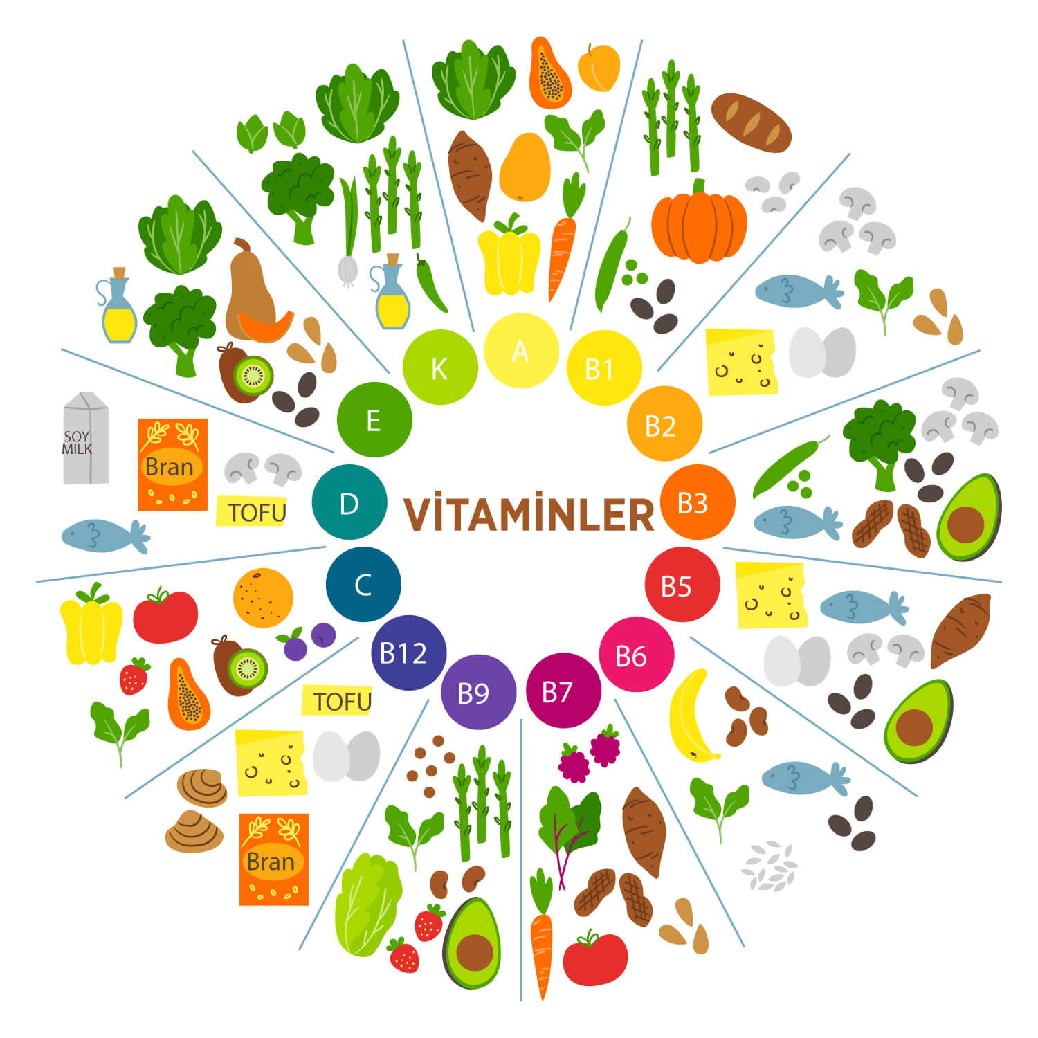Vitaminler - Takviye Edici Gıdalar - PreQuaLife