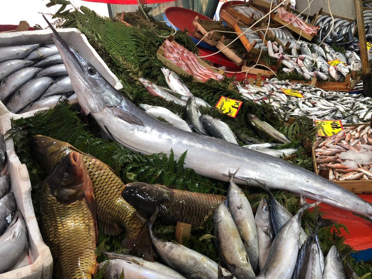 O balık bu hafta pazarın gözdesiydi - Kocaeli Son Dakika