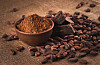 Sterke beviser for at kakao ble dyrket for nesten 5500 år siden