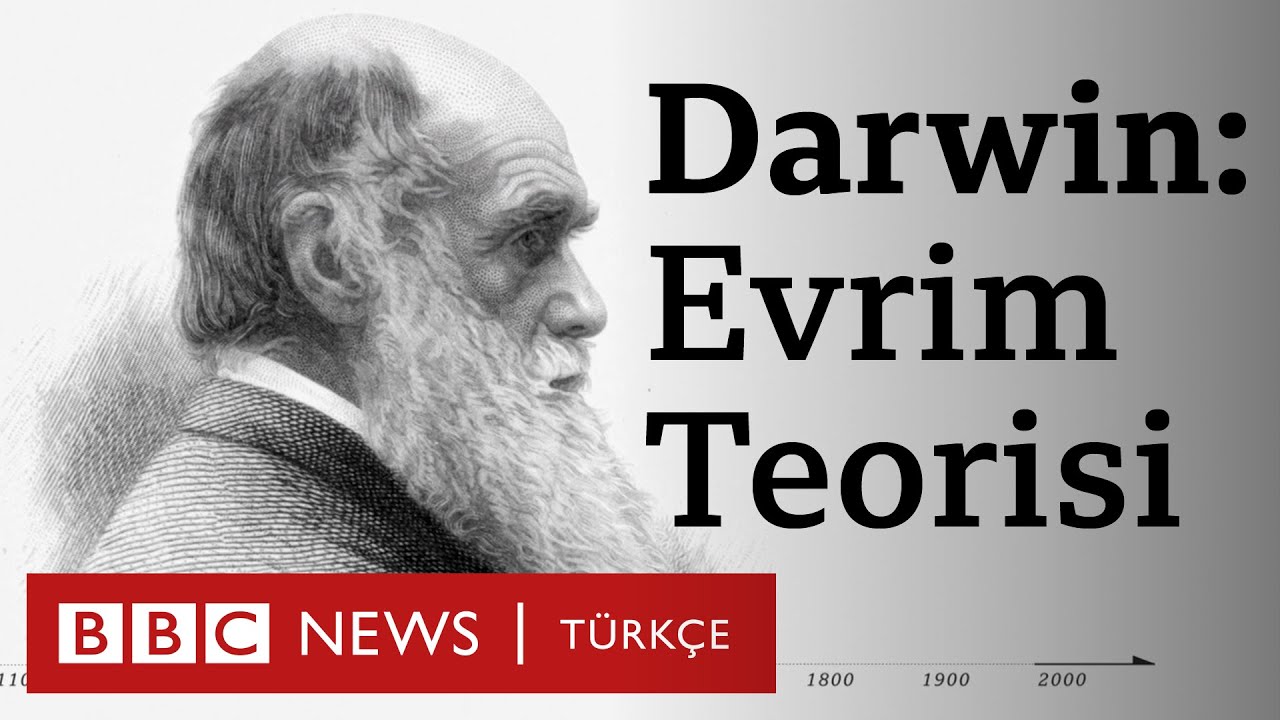 Darwin: Evrim teorisini ortaya atan bilim adamının sıra dışı hayatı - BBC  News Türkçe