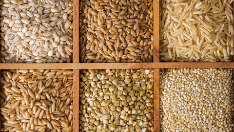 Yalancı Tahıllar Nelerdir? – Özel Beslenme