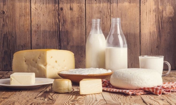 Süt ve süt ürünleri nelerdir? Süt ürünleri zararlı mı? - Gıda Hattı